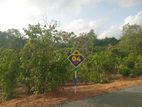 Lands for Sale in Ambalangoda