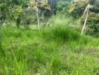 Lands for sale in Ambathanna