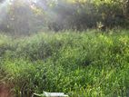 Lands for sale in Ambathanna