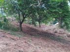 Lands for sale in Ambathanna