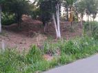 Lands for Sale in Ambathanna-Pujapitiya Rd