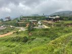 Lands for sale in Ambewela