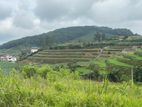 Lands for sale in Ambewela