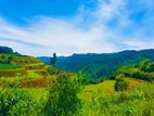Lands for Sale in Ambewela