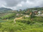 Lands for Sale in Ambewela