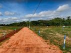 Lands For Sale In Anuradhapura Bulankulama.