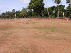 Lands for Sale in Anuradhapura Parasangaswewa