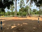 Lands for Sale in Anuradhapura Saliyamawatha