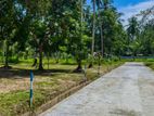 Lands for sale In Ballapana