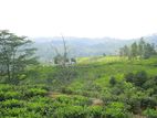 Lands for Sale in Bandarawela