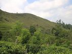 Lands for sale in Bandarawela