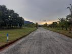 Lands For Sale In Dambulla