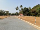 Lands For Sale In Dambulla