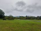 Lands For Sale In Dambulla.