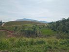 Lands for sale in Delthota