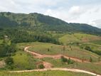 Lands for sale in Delthota