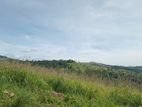 Lands for sale in Delthota