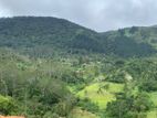 Lands for sale in Delthota