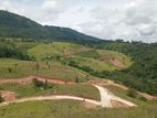 Lands for sale in Delthota