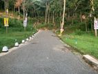 Lands for sale in Digana