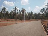 lands for sale in divulapitiya