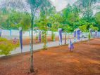 Lands for Sale in Divulapitiya, M231