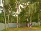 Lands for sale in Galle