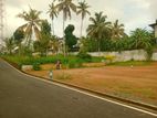 Lands for sale in Galle