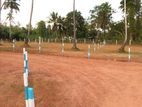 Lands for Sale in Gampaha - S01