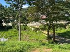 Lands for Sale in Gelioya