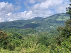 Lands for Sale in Gelioya