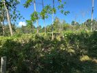Lands for Sale in Gelioya Pethiyagoda