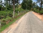 Lands for sale in Hadeniya_ Bolagala (katugasthota)