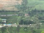 Lands for sale in Hatton Nuwaraeliya