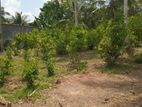 Lands for Sale in Hikkaduwa