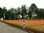 Lands for Sale in Homagama - Thalagala (Beruketiya)