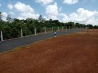 Lands For Sale In Homagama - Thalagala (Beruketiya)