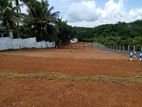 Lands For Sale In Homagama - Thalagala (Beruketiya)