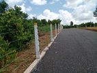 Lands for Sale In Homagama - Thalagala (Beruketiya)