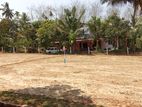 Lands for Sale in Horana Town