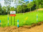 Lands for Sale in Ibbagamuwa, M1031