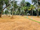 Lands for Sale in Ibbagamuwa - S02