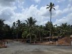 Lands for Sale in Kandana