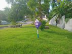 Lands for sale in Karapitiya