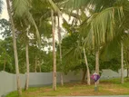 Lands for Sale in Karapitiya, Galle