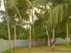 Lands for sale in Karapitiya, Galle