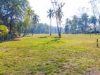 Lands for sale in Kurunegala -Ibbagamuwa