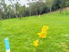 Lands for Sale in Kurunegala- T25