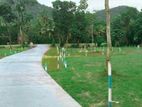 Lands for Sale in Kurunegala. T30