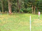 Lands for Sale in Kurunegala. T38